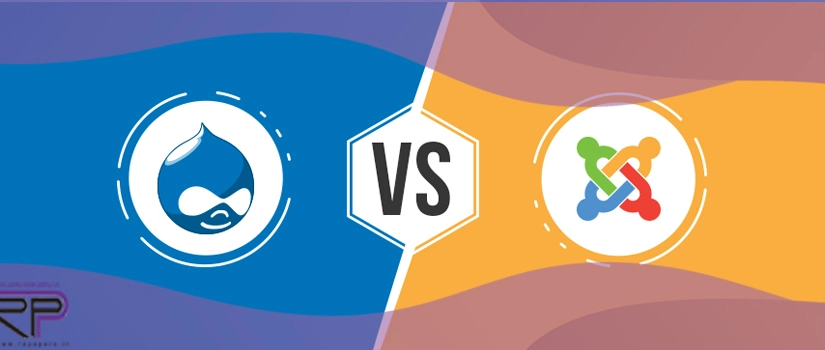 پلاگین های وردپرس